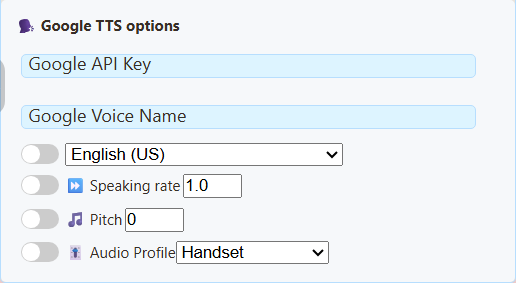 Actual SSN Google Cloud provider settings